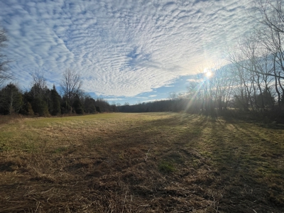 Home & 85.8 acres For Sale @ Auction in Warren County Ky. - image 13