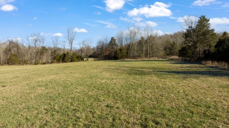 Home & 85.8 acres For Sale @ Auction in Warren County Ky. - image 31