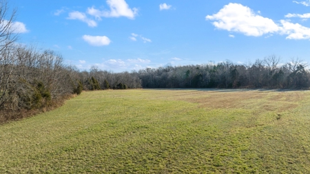 Home & 85.8 acres For Sale @ Auction in Warren County Ky. - image 34