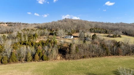 Home & 85.8 acres For Sale @ Auction in Warren County Ky. - image 35