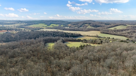 Home & 85.8 acres For Sale @ Auction in Warren County Ky. - image 25