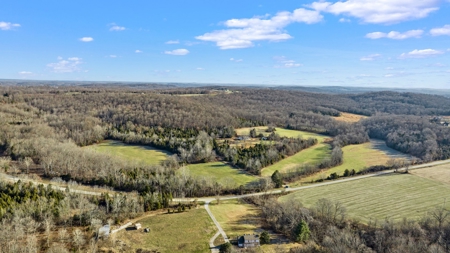 Home & 85.8 acres For Sale @ Auction in Warren County Ky. - image 20