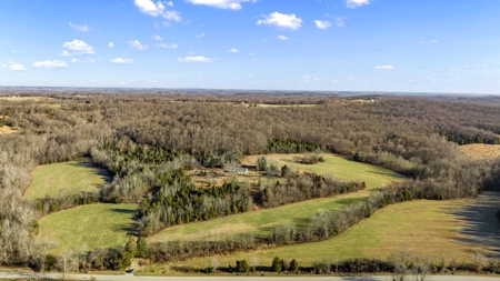 Home & 85.8 acres For Sale @ Auction in Warren County Ky. - image 23