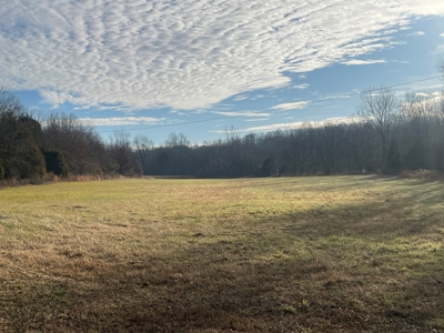 Home & 85.8 acres For Sale @ Auction in Warren County Ky. - image 14
