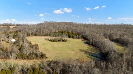 Home & 85.8 acres For Sale @ Auction in Warren County Ky. - image 36