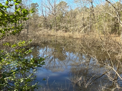 Tejas Diversified Investments, Llc 546.23 ± Acre Land Sale - image 21