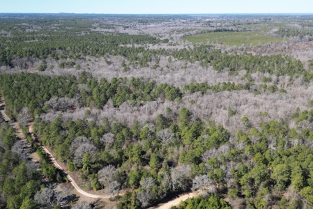 Tejas Diversified Investments, Llc 546.23 ± Acre Land Sale - image 19