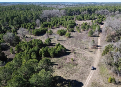 Tejas Diversified Investments, Llc 546.23 ± Acre Land Sale - image 13
