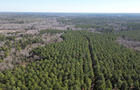 Tejas Diversified Investments, Llc 546.23 ± Acre Land Sale - image 10