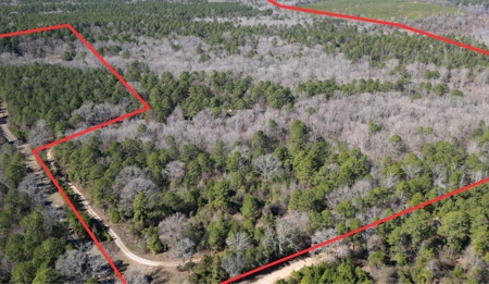 Tejas Diversified Investments, Llc 546.23 ± Acre Land Sale - image 3