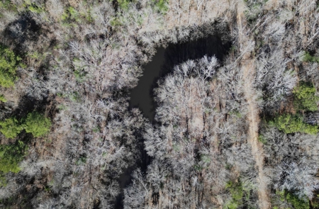 Tejas Diversified Investments, Llc 546.23 ± Acre Land Sale - image 12