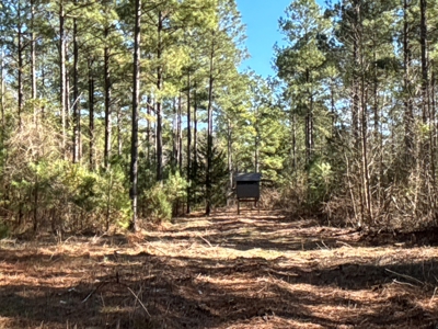 Tejas Diversified Investments, Llc 546.23 ± Acre Land Sale - image 23