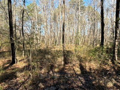 Tejas Diversified Investments, Llc 546.23 ± Acre Land Sale - image 24