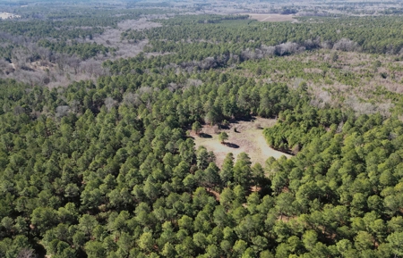 Tejas Diversified Investments, Llc 546.23 ± Acre Land Sale - image 5