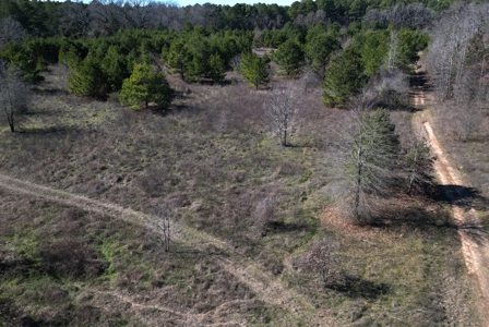 Tejas Diversified Investments, Llc 546.23 ± Acre Land Sale - image 17