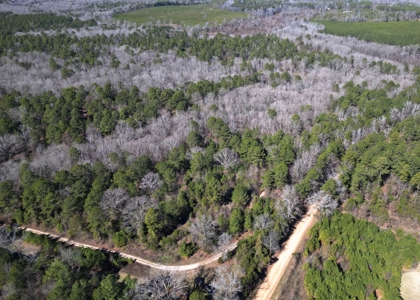 Tejas Diversified Investments, Llc 546.23 ± Acre Land Sale - image 18