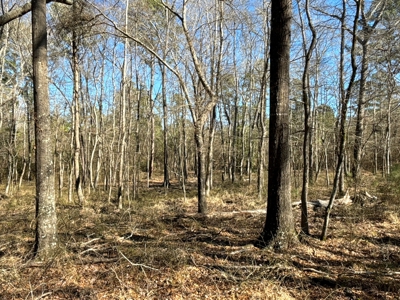Tejas Diversified Investments, Llc 546.23 ± Acre Land Sale - image 22