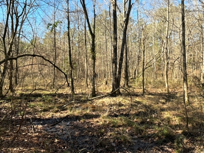 Tejas Diversified Investments, Llc 546.23 ± Acre Land Sale - image 25