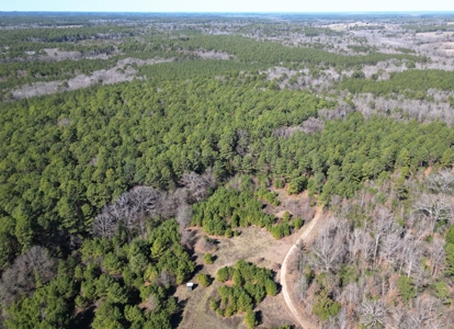 Tejas Diversified Investments, Llc 546.23 ± Acre Land Sale - image 16