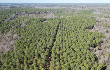 Tejas Diversified Investments, Llc 546.23 ± Acre Land Sale - image 6