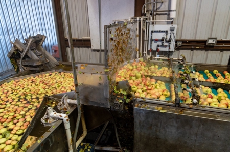 Tract 1 Organic Apple Orchard Auction, Willcox, AZ - image 34