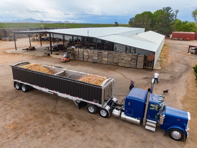 Tract 1 Organic Apple Orchard Auction, Willcox, AZ - image 36