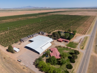 Tract 1 Organic Apple Orchard Auction, Willcox, AZ - image 4