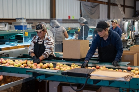 Tract 1 Organic Apple Orchard Auction, Willcox, AZ - image 31