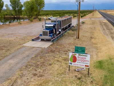 Tract 1 Organic Apple Orchard Auction, Willcox, AZ - image 29