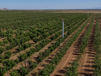 Tract 1 Organic Apple Orchard Auction, Willcox, AZ - image 2