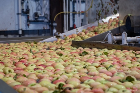Tract 1 Organic Apple Orchard Auction, Willcox, AZ - image 32