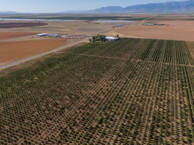 Tract 1 Organic Apple Orchard Auction, Willcox, AZ - image 5
