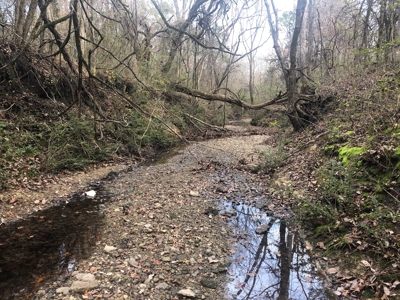 11-J Corporation 113.642 ± ACRE LAND SALE - image 18