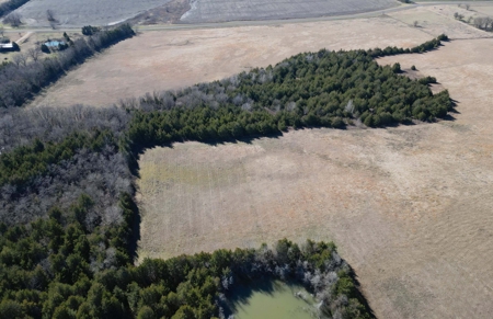 11-J Corporation 113.642 ± ACRE LAND SALE - image 5