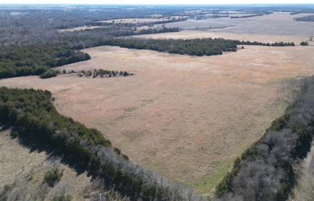 11-J Corporation 113.642 ± ACRE LAND SALE - image 7