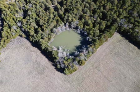 11-J Corporation 113.642 ± ACRE LAND SALE - image 4