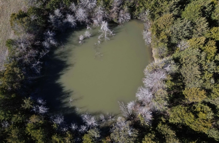 11-J Corporation 113.642 ± ACRE LAND SALE - image 9