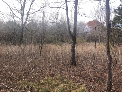 11-J Corporation 113.642 ± ACRE LAND SALE - image 16