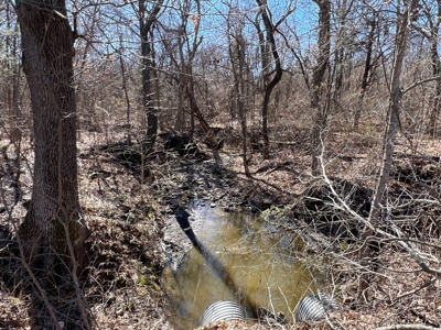 11-J Corporation 113.642 ± ACRE LAND SALE - image 12