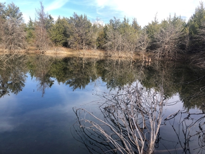 11-J Corporation 113.642 ± ACRE LAND SALE - image 20