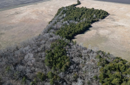 11-J Corporation 113.642 ± ACRE LAND SALE - image 8