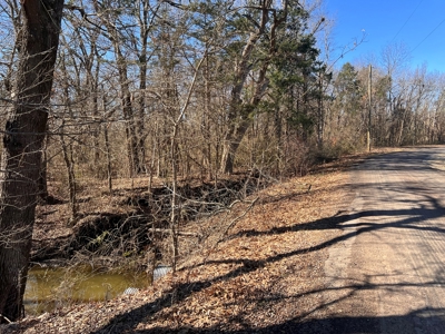 11-J Corporation 113.642 ± ACRE LAND SALE - image 11