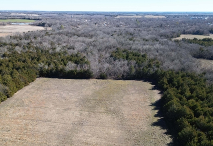 11-J Corporation 113.642 ± ACRE LAND SALE - image 10