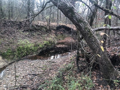 11-J Corporation 113.642 ± ACRE LAND SALE - image 17