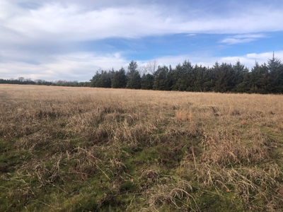 11-J Corporation 113.642 ± ACRE LAND SALE - image 19