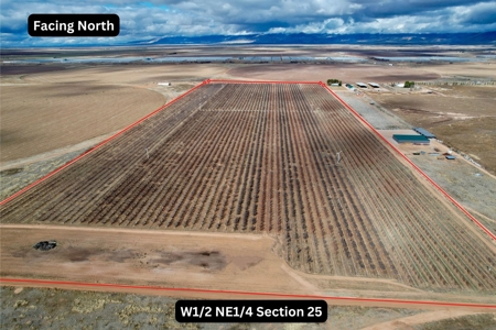 Tract 3 Organic Apple Orchard Auction, Willcox, AZ - image 3