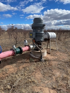 Tract 3 Organic Apple Orchard Auction, Willcox, AZ - image 4