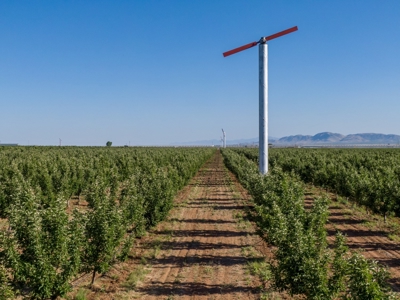 Tract 3 Organic Apple Orchard Auction, Willcox, AZ - image 1