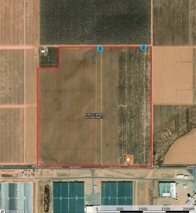 Tract 4 Organic Apple Orchard Auction, Willcox, AZ - image 7