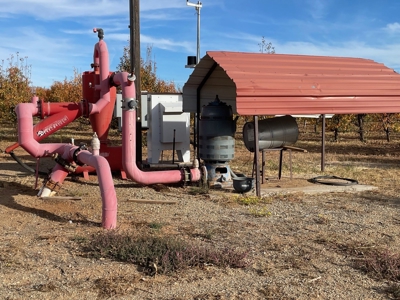 Tract 5 Organic Apple Orchard Auction, Willcox, AZ - image 3